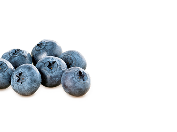 Blaubeeren links